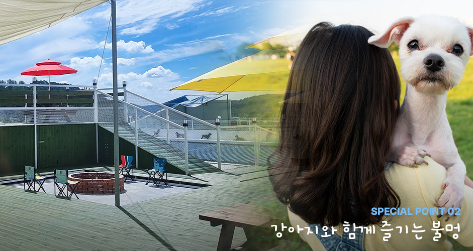 이미지명