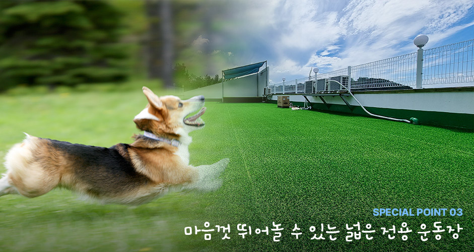이미지명